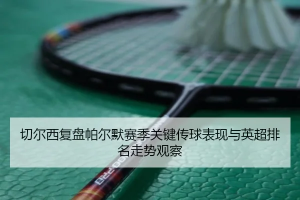 切尔西复盘帕尔默赛季关键传球表现与英超排名走势观察